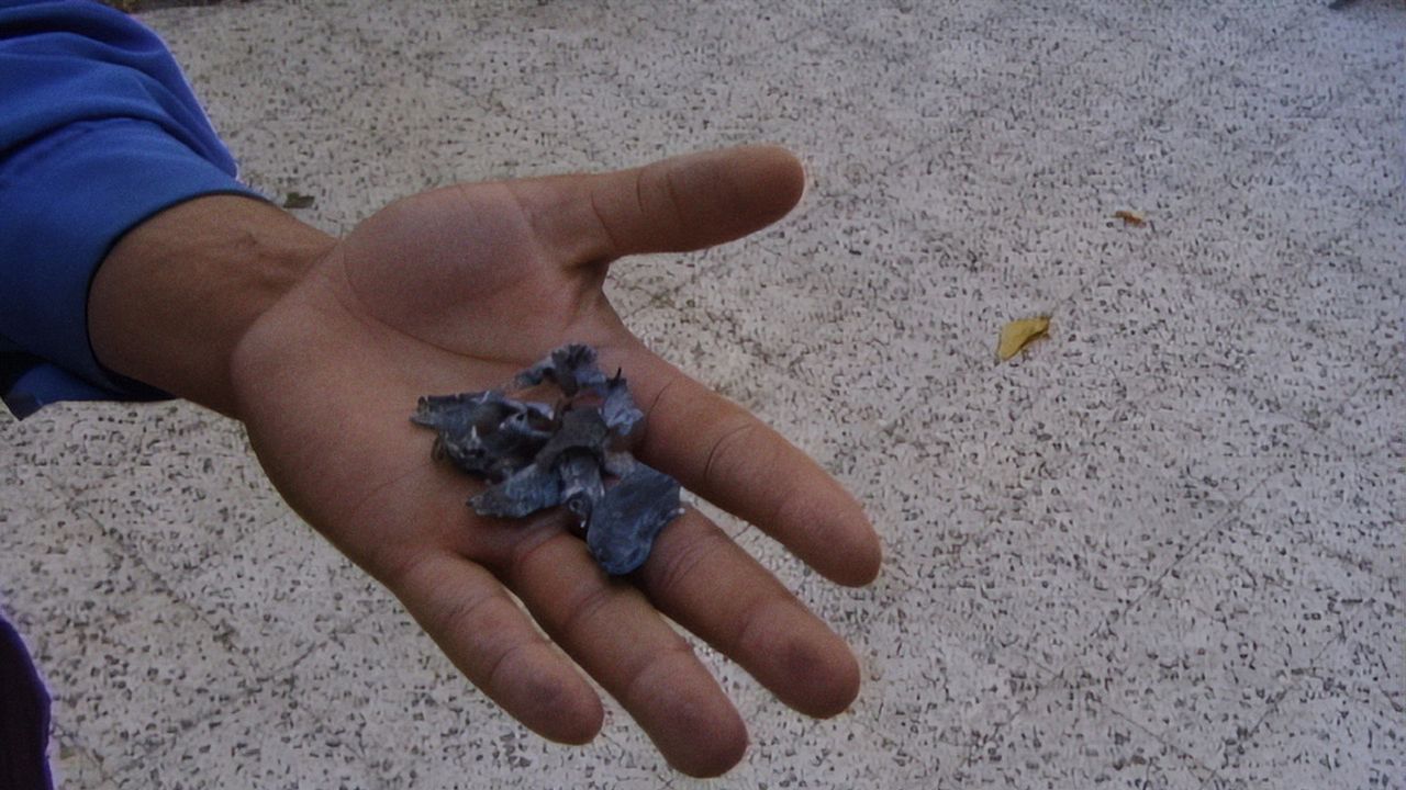 Mit Hasan in Gaza : Bild