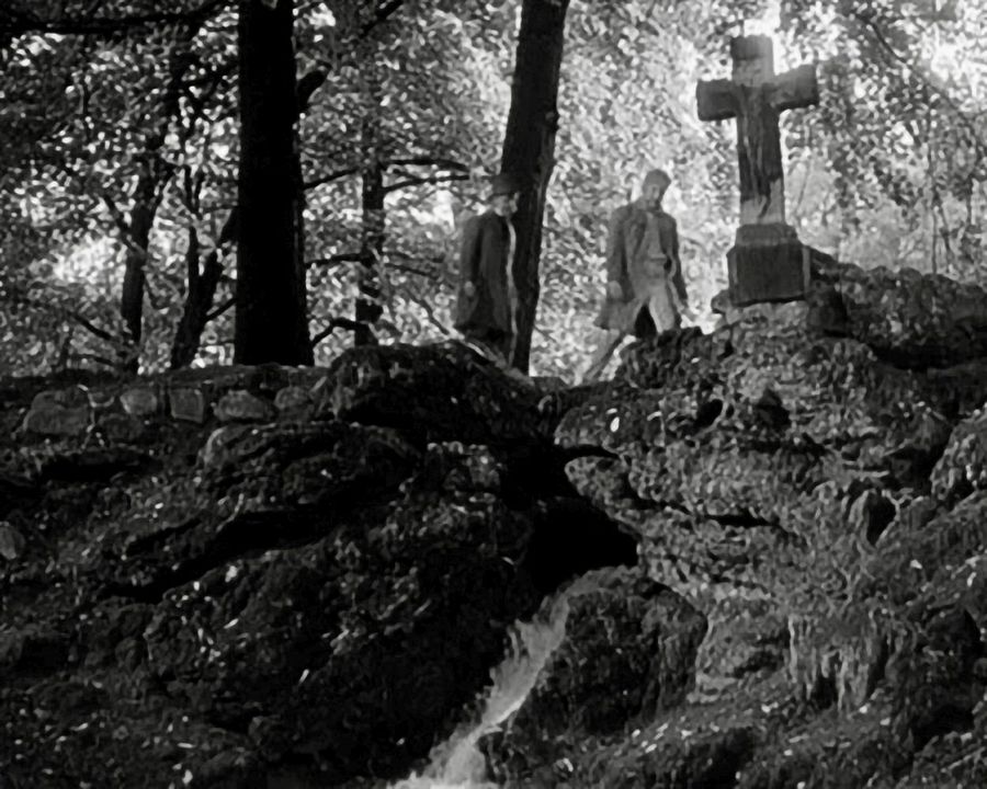 Die wundersame Geschichte des Peter Schlemihl : Bild