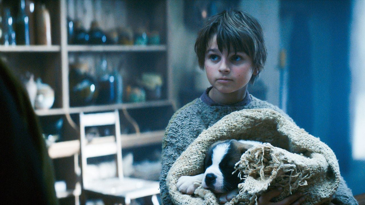 Mein Freund Barry : Bild Paco von Wyss