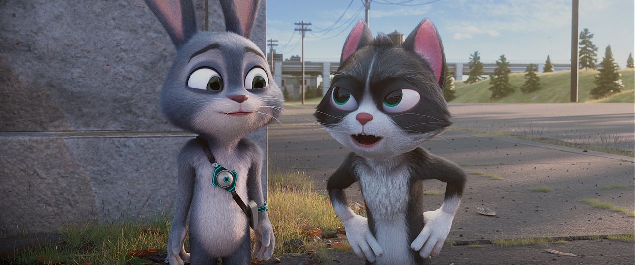 Der schlaue Hase Momo – Die große Verfolgung : Bild