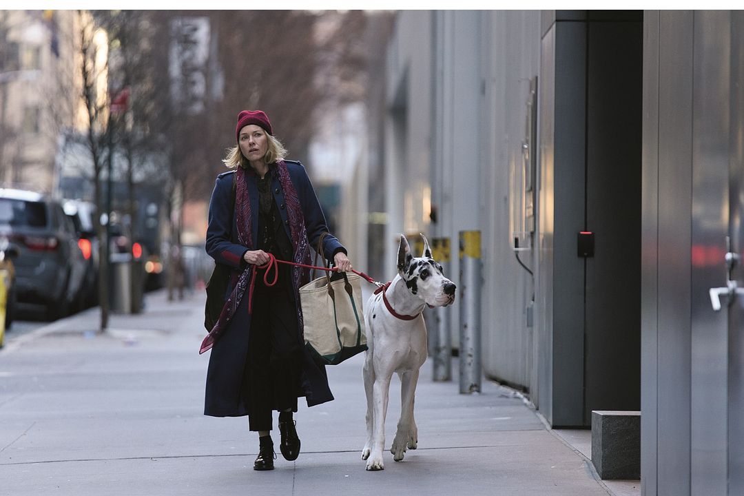 Loyal Friend : Bild Bing 