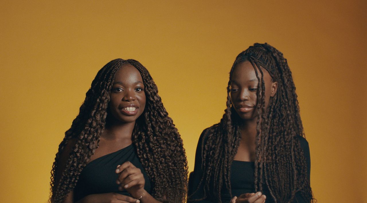 Noch lange keine Lipizzaner : Bild