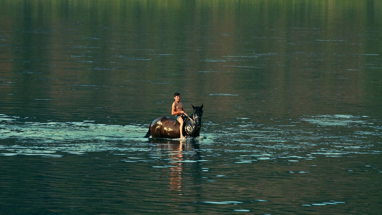 Silent Flood : Bild