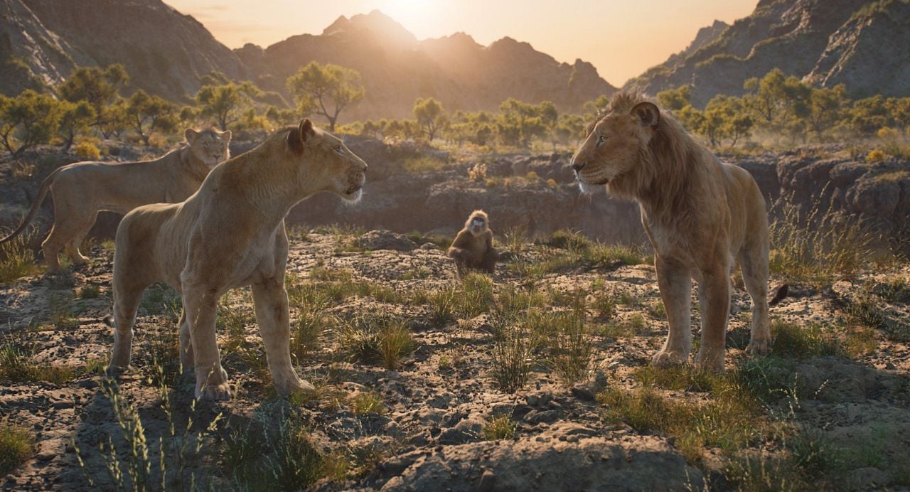 Mufasa: Der König der Löwen : Bild