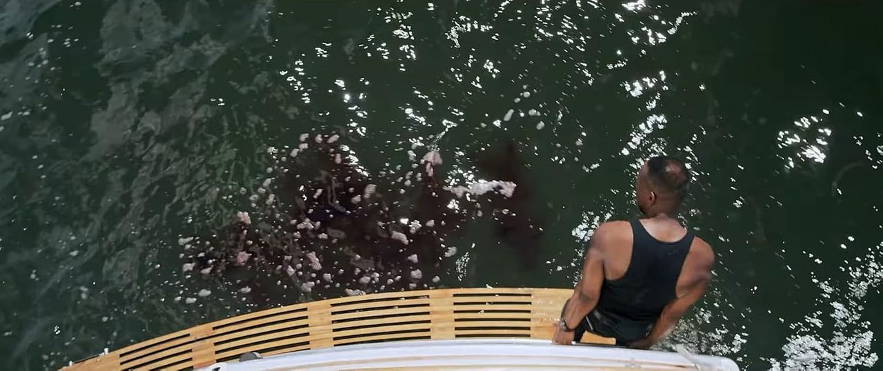 Great White Waters : Bild