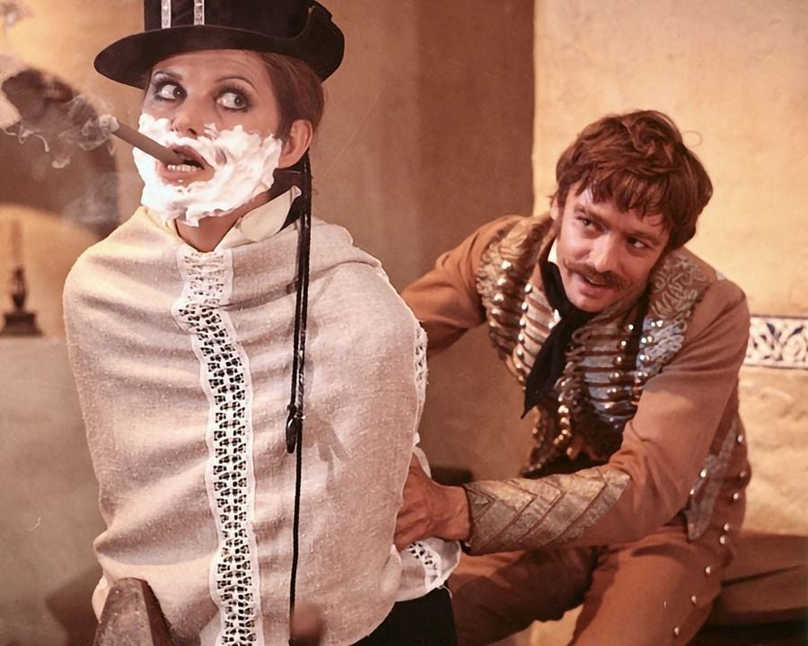 Die Gräfin und ihr Oberst : Bild