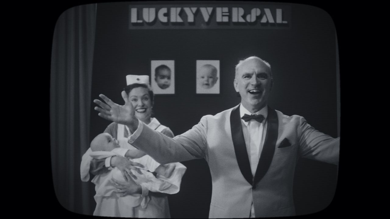 Noch lange keine Lipizzaner : Bild