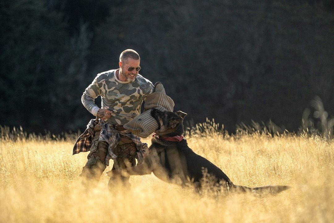 Eiserne Wildnis - Heart Of The Beast : Bild Uber , Brad Pitt