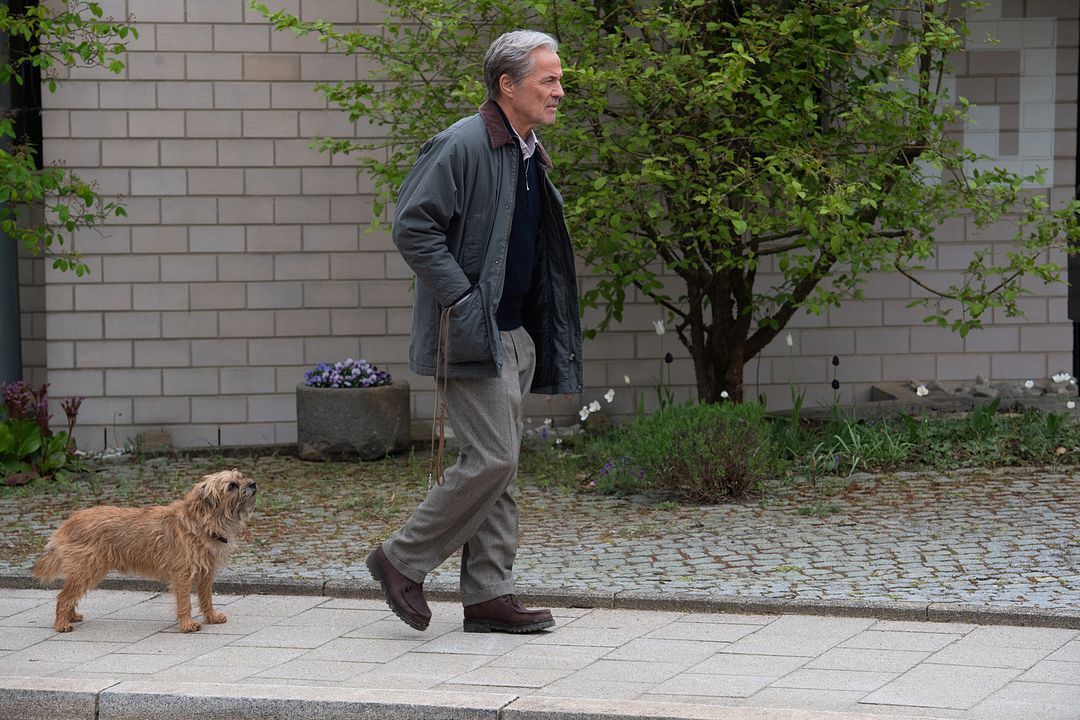 Ein fast perfekter Antrag : Bild Heiner Lauterbach