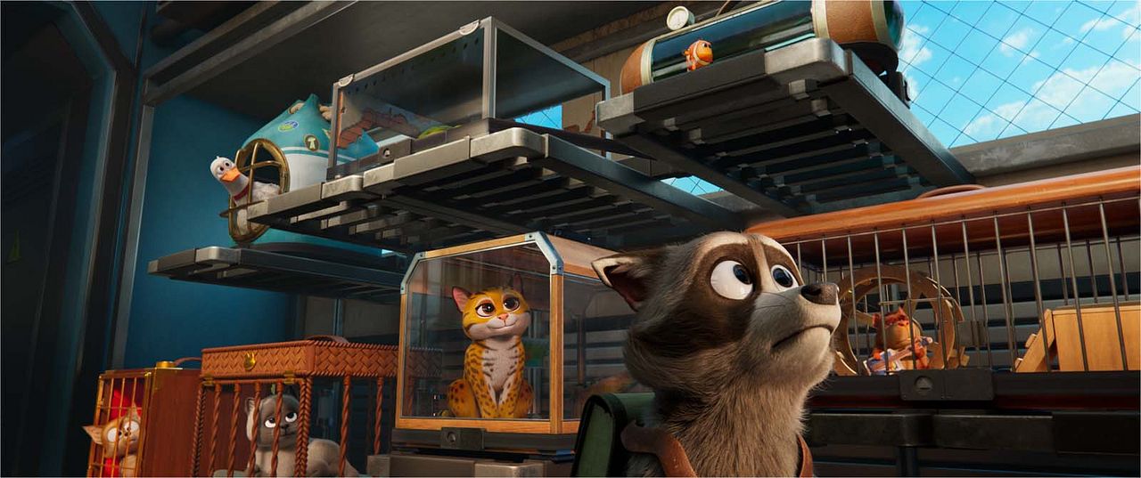 Tierisch abgefahren - Rettet die Pets! : Bild