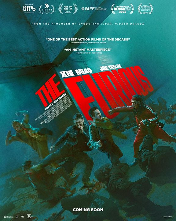 The Furious : Kinoposter