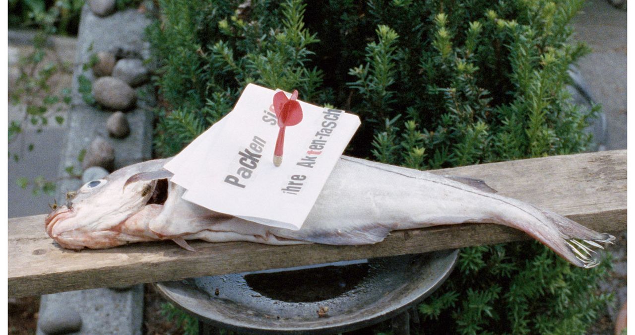 Schweinesand - Eine Insel voller Geheimnisse : Bild