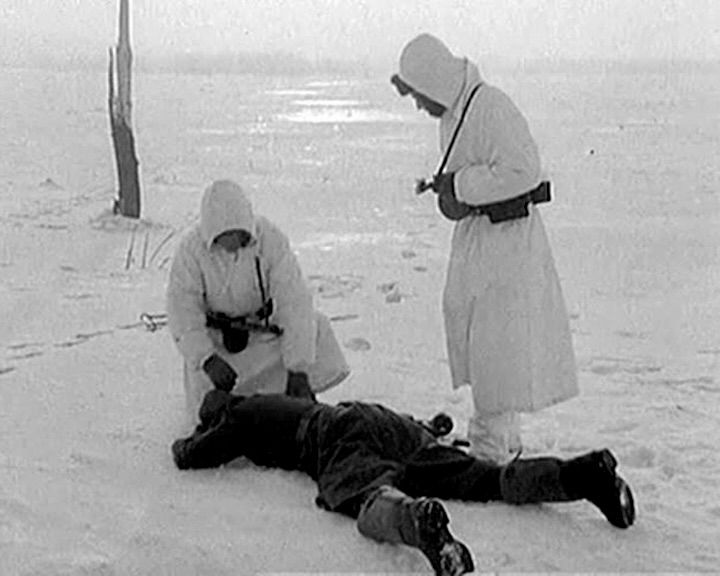 Der Portland-Ring : Bild