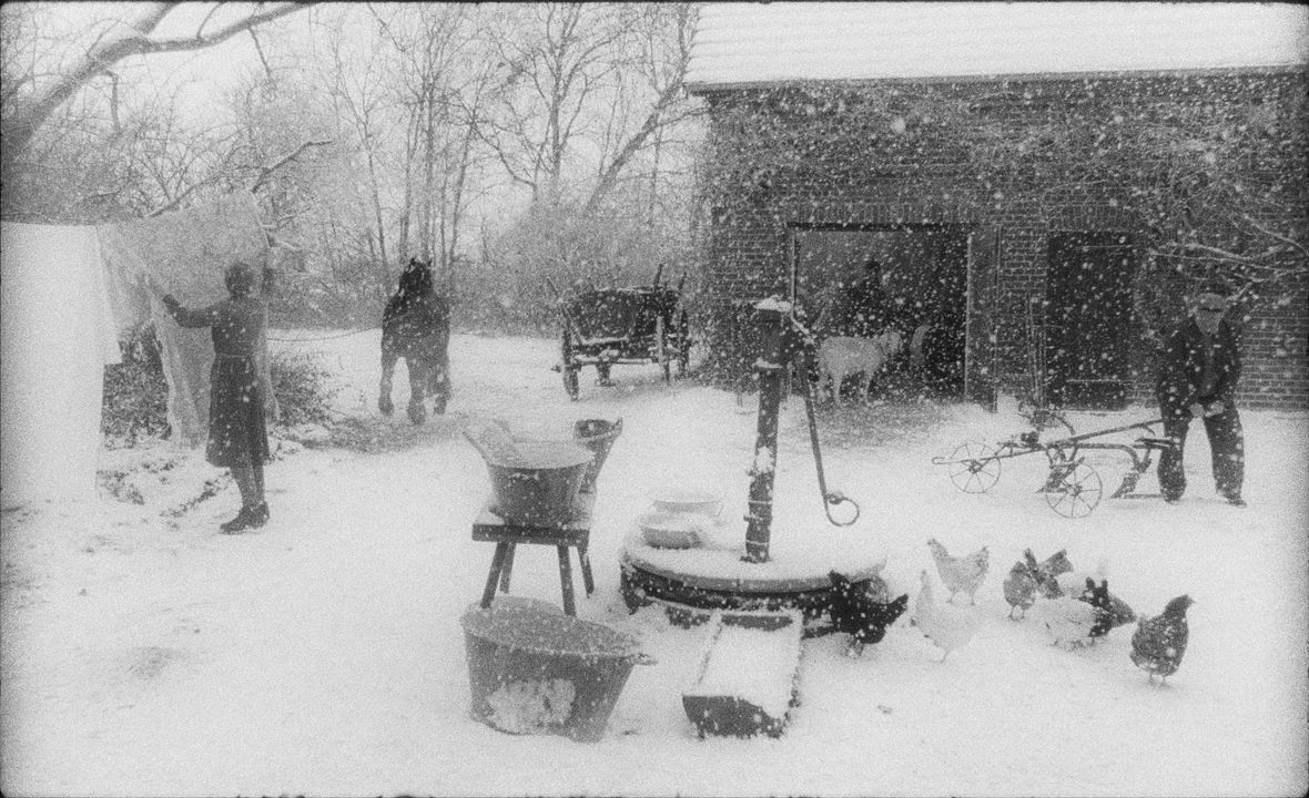 Rote Sterne überm Feld : Bild