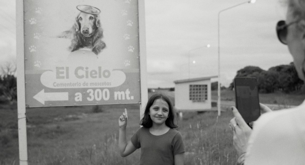 Die Nachricht : Bild