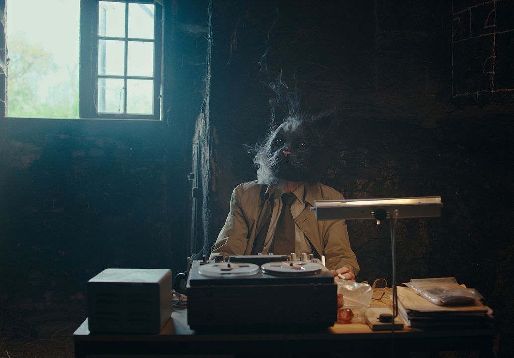 Rote Sterne überm Feld : Bild