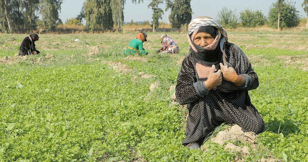 Tevî her tiştî – Trotz alledem : Bild