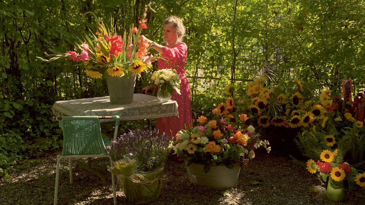 Röbi geht : Bild Heidi Demuth Widmer