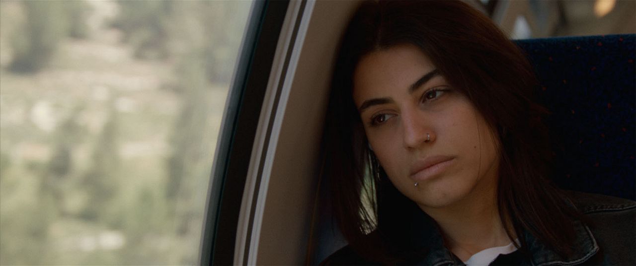 Happy Holidays : Bild