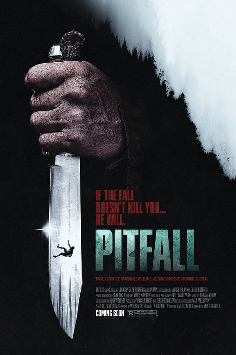 Pitfall : Kinoposter