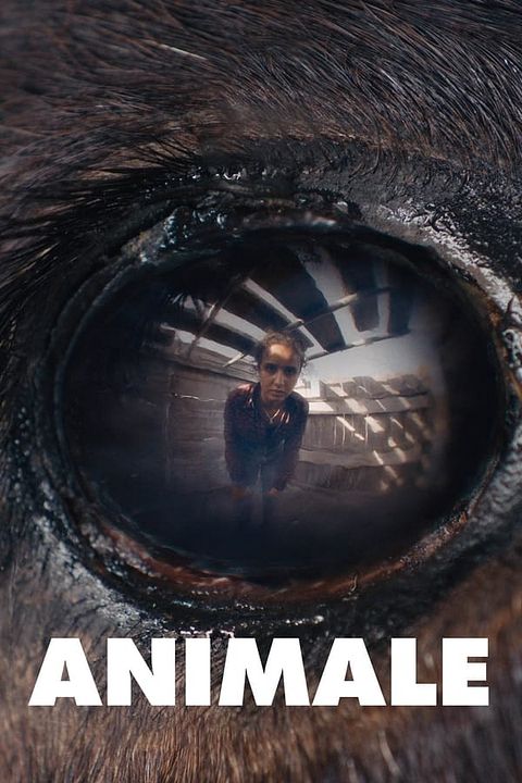 Animale : Kinoposter