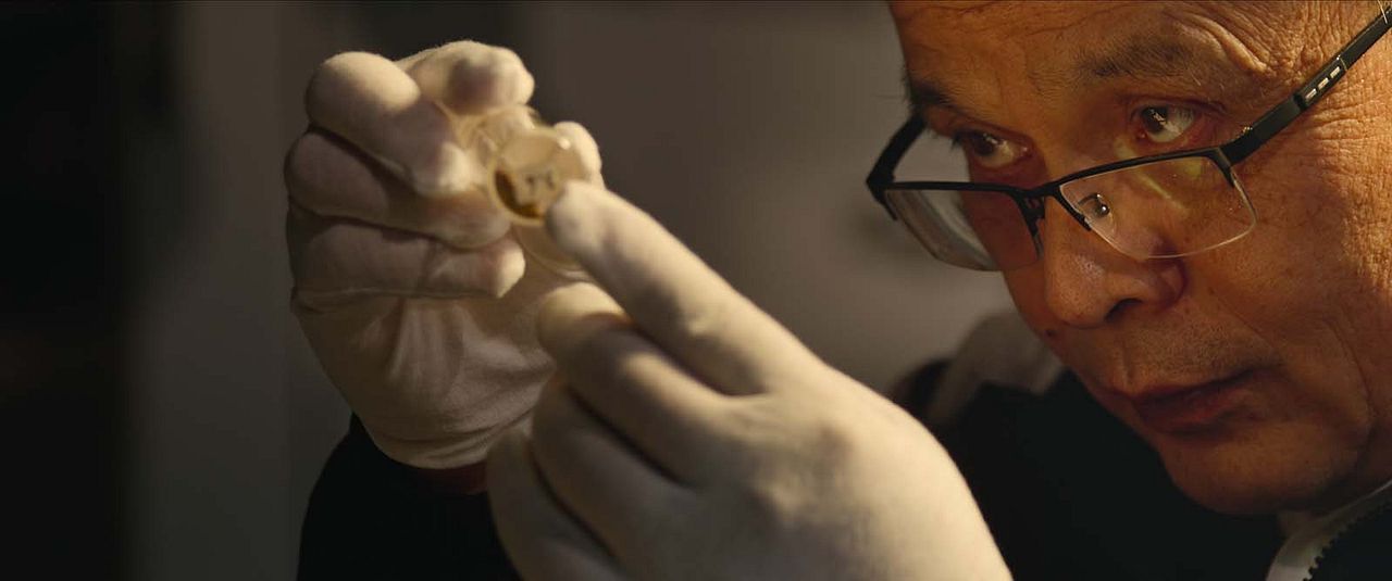 Mysteries Of The Terracotta Warriors : Bild