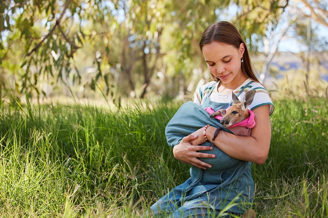 Lilly und die Kängurus : Bild
