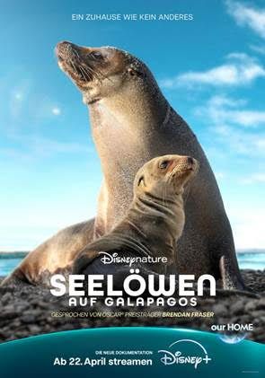 Seelöwen auf Galápagos : Kinoposter