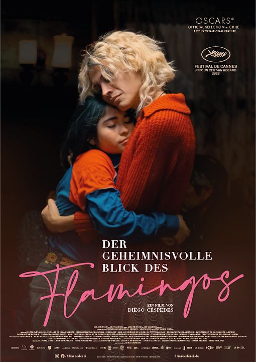 Der geheimnisvolle Blick des Flamingos : Kinoposter