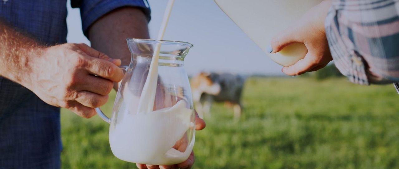 I Could Never Go Vegan : Bild