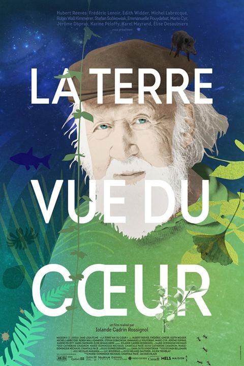 Hubert Reeves - La Terre vue du coeur : Kinoposter