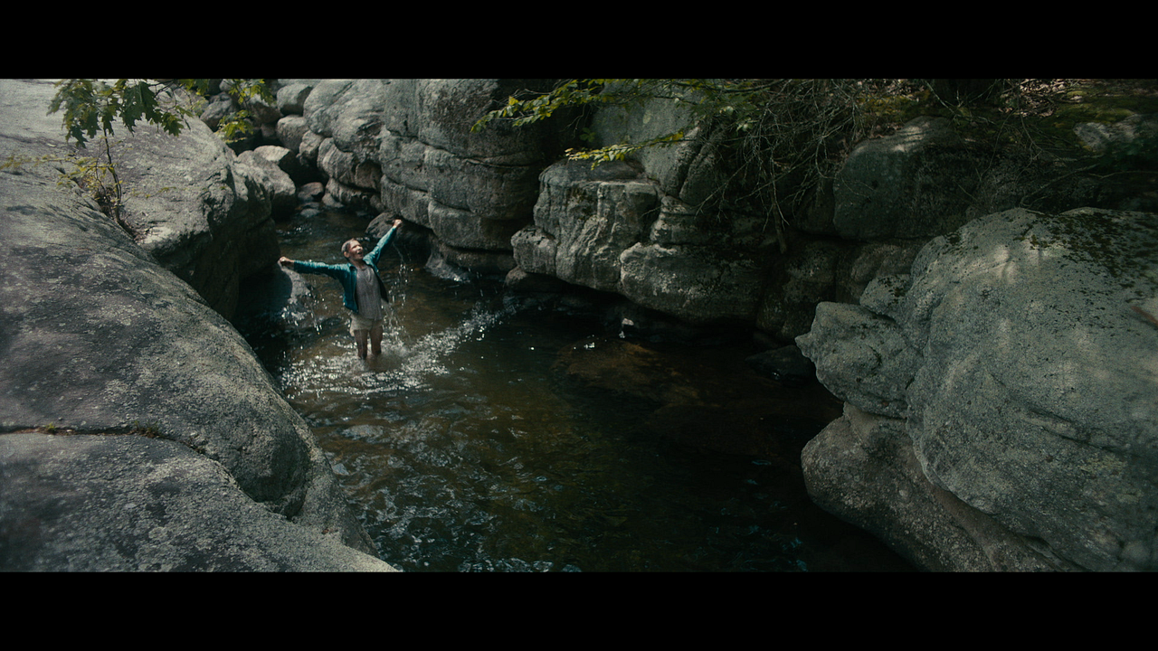 Verloren in der Wildnis : Bild