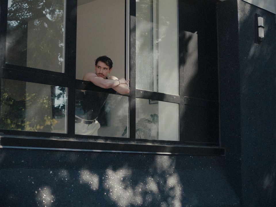 Drunken Noodles : Bild