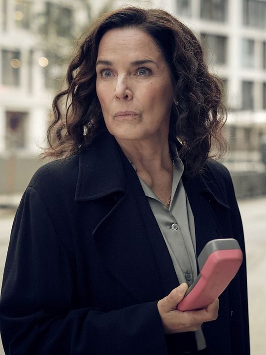 Ein Fall für Conti – Der verlorene Sohn : Kinoposter