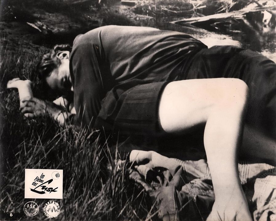 Im Fieber der Lust : Bild