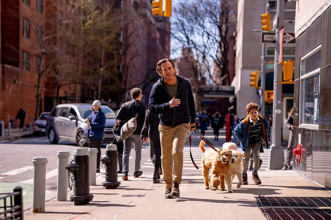 Is This Thing On? : Bild Will Arnett