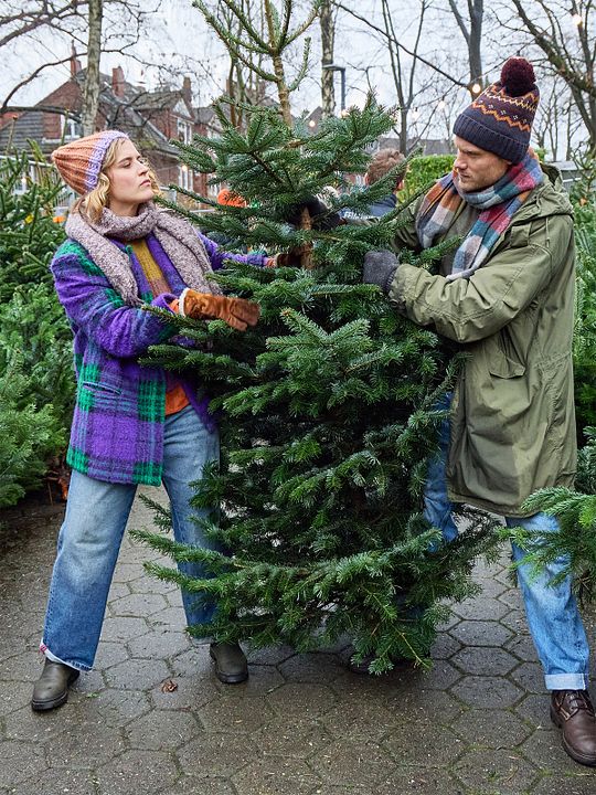 Weihnachtsüberraschungen : Kinoposter