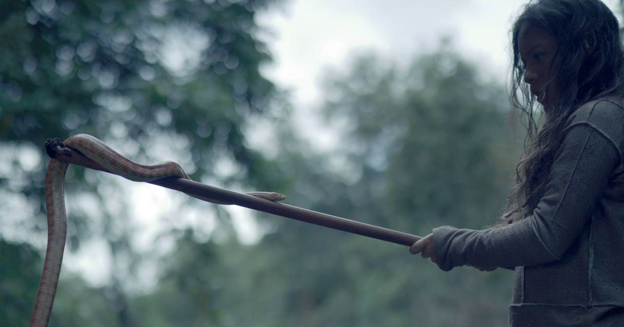 Tomorrow Before After : Bild