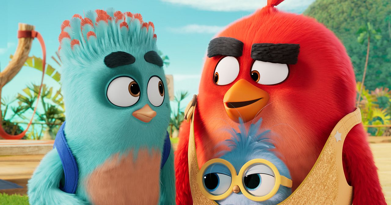 The Angry Birds 3 - Der Film : Bild