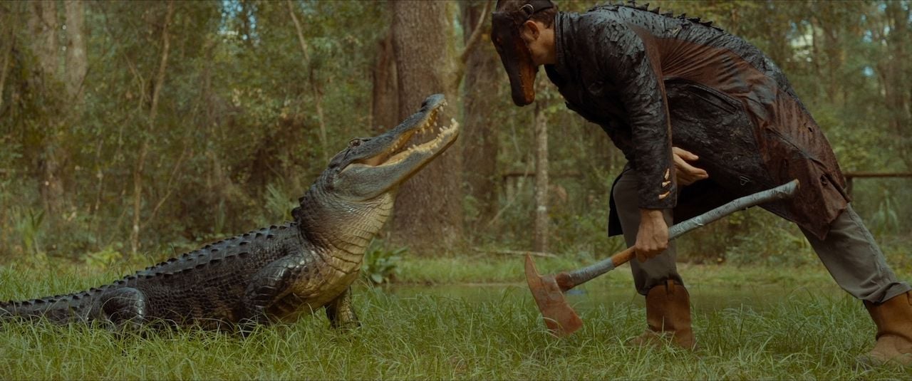 Gator Face : Bild