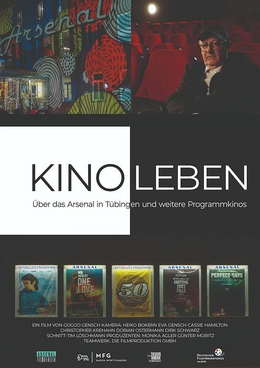 Kinoleben - Über das Arsenal in Tübingen und weitere Programmkinos : Kinoposter