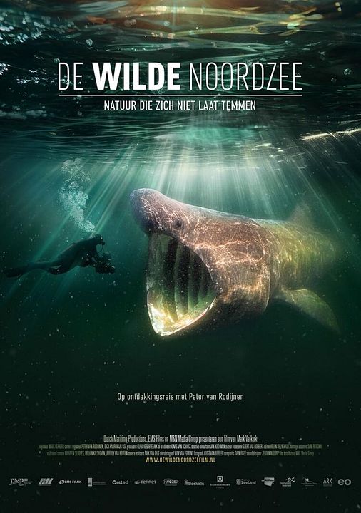Die wilde Nordsee - Natur, die sich nicht zähmen lässt : Kinoposter