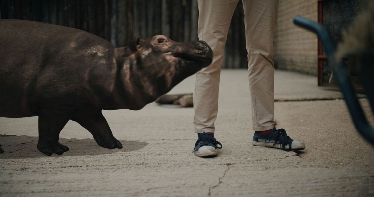 Hippo's Revenge - Drei Tonnen Zorn : Bild