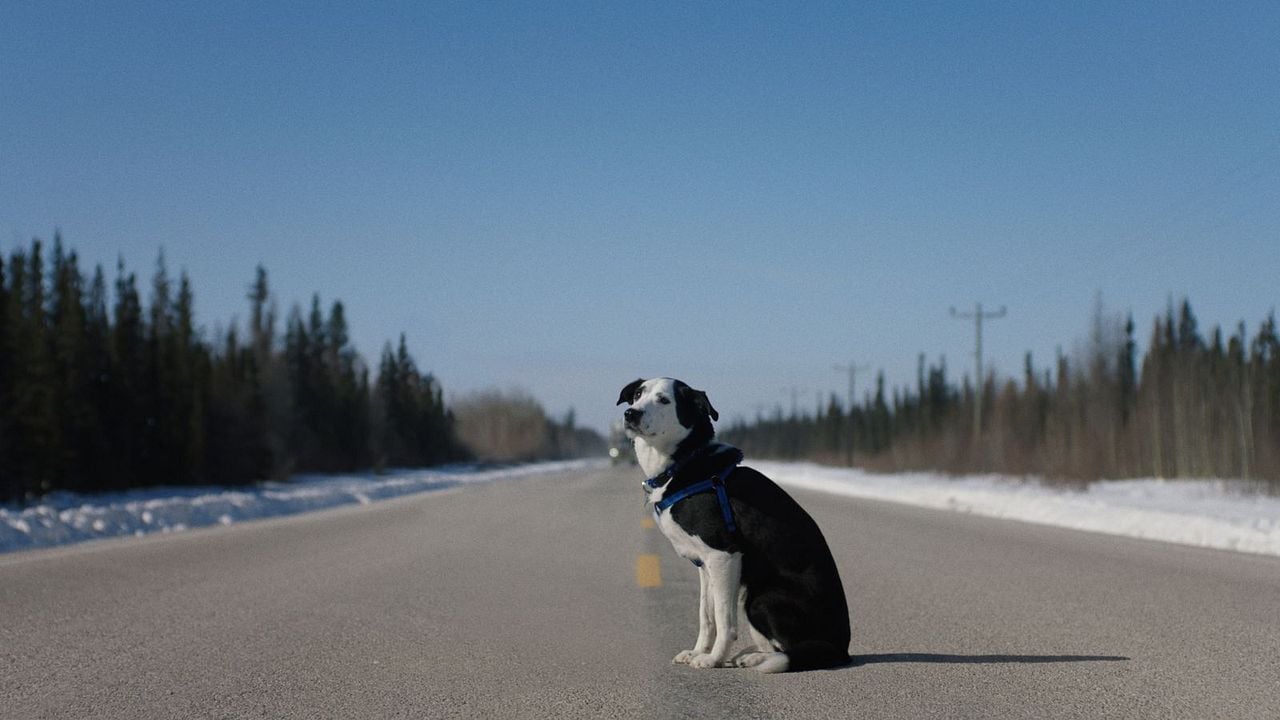 Cold Road - Eiskalte Rache : Bild