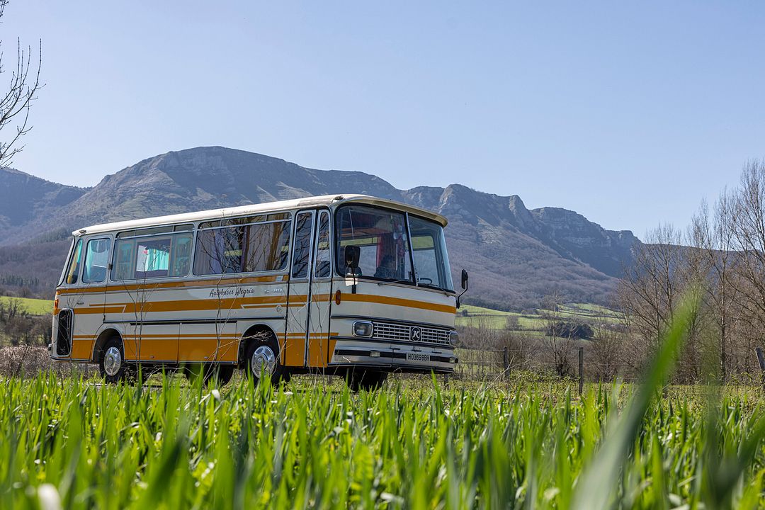 Ein Bus voller Leben : Bild