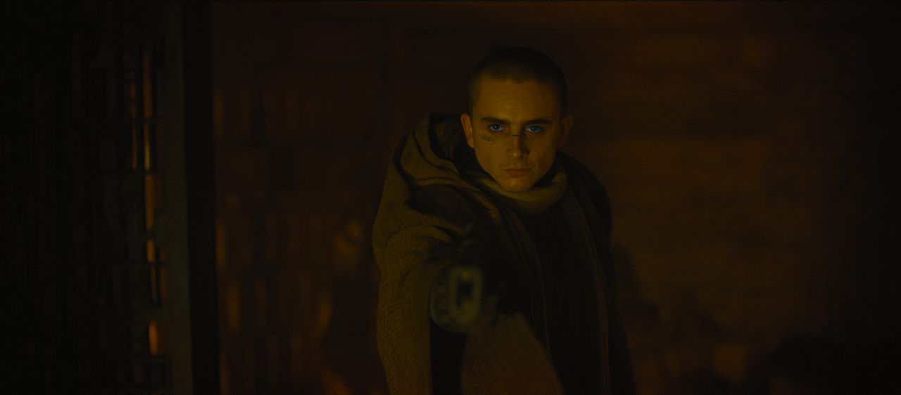 Dune 3 : Bild Timothée Chalamet