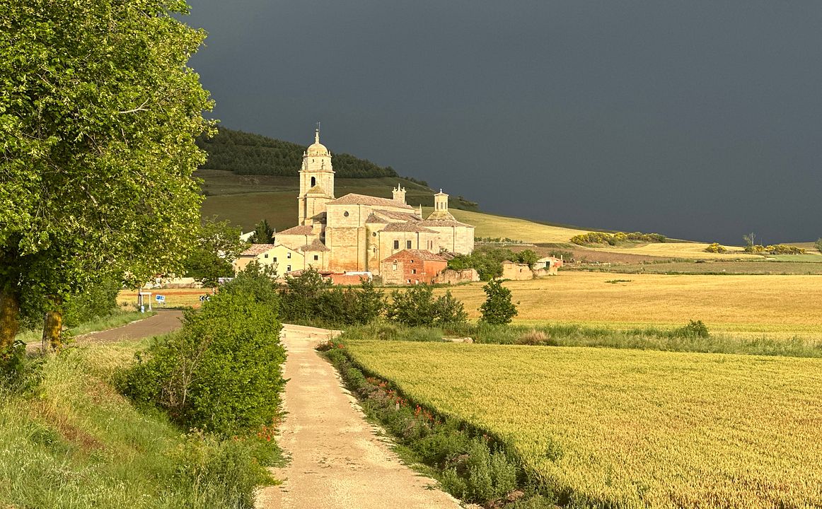 MEIN WEG - 780 km zu mir : Bild