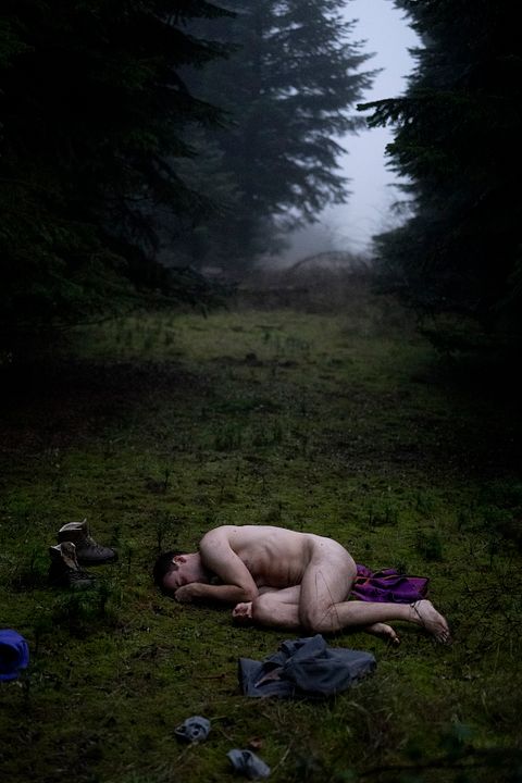 Der Wald in mir : Bild