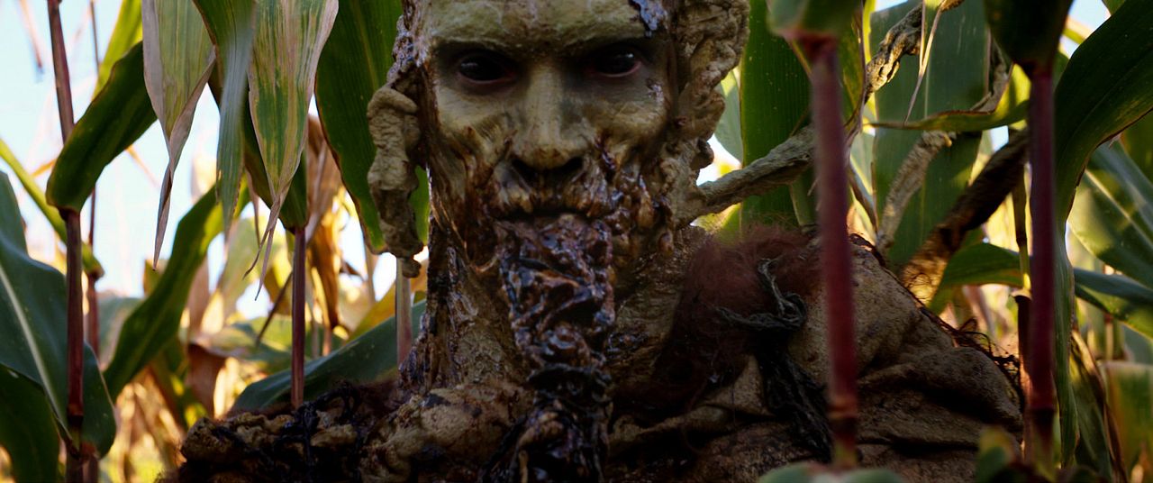 You Shall Not Sleep Tonight : Bild