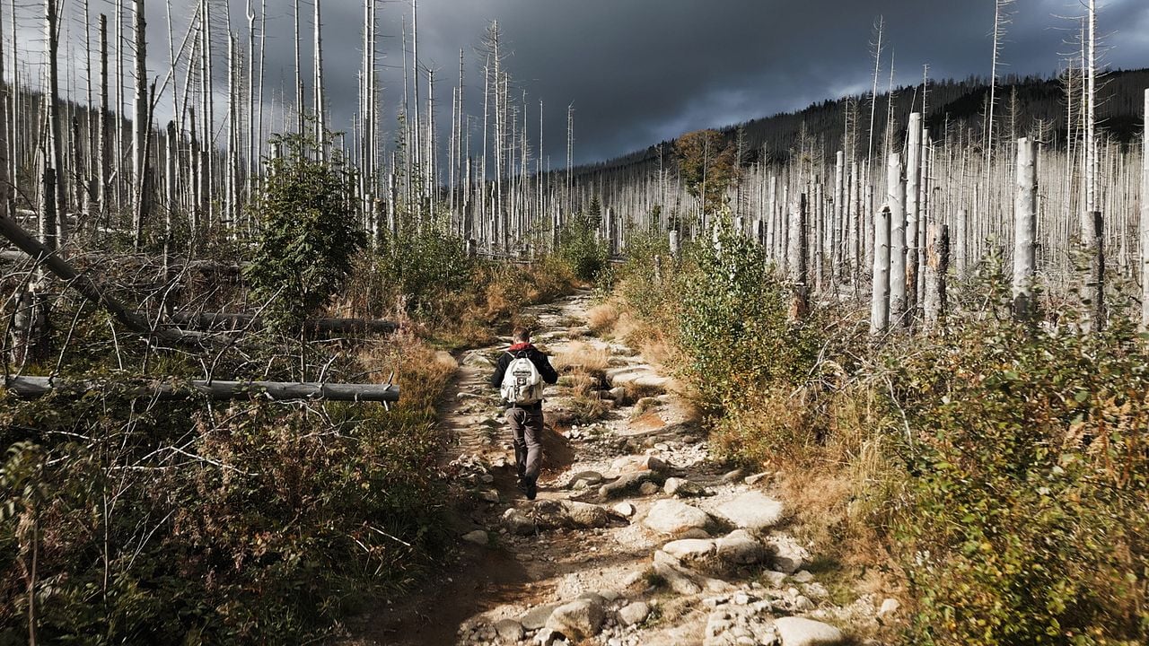 Das Gewicht der Welt : Bild Prof. Dr. Sebastian Seiffert